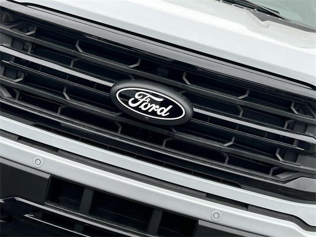 new 2025 Ford F-150 car