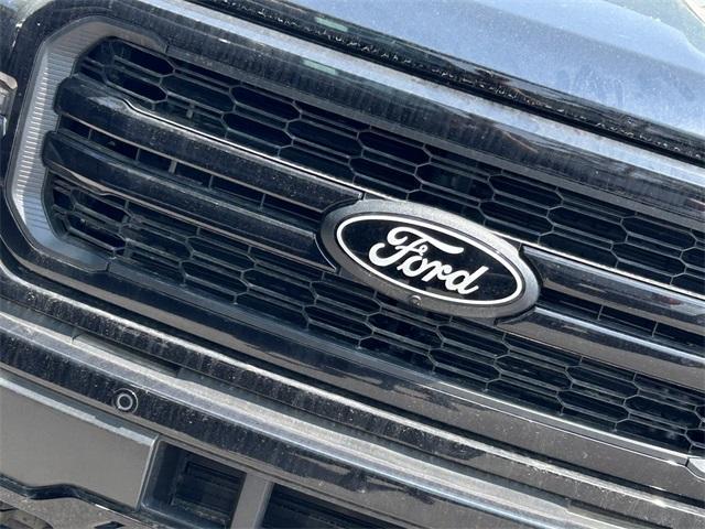 new 2025 Ford F-150 car