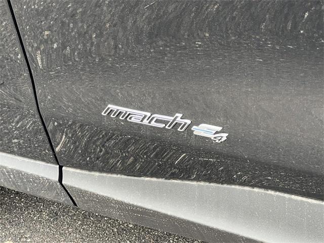 new 2025 Ford Mustang Mach-E car