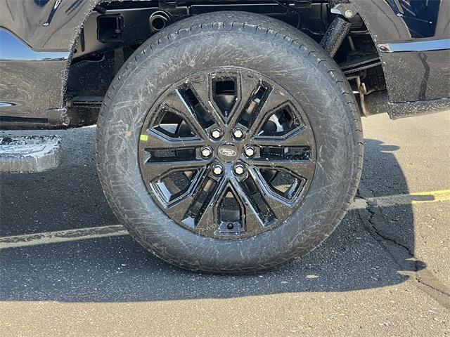 new 2025 Ford F-150 car