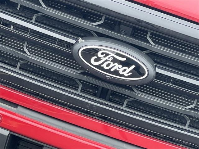 new 2025 Ford F-150 car