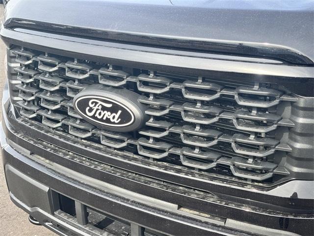 new 2025 Ford F-150 car