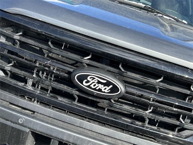 new 2025 Ford F-150 car