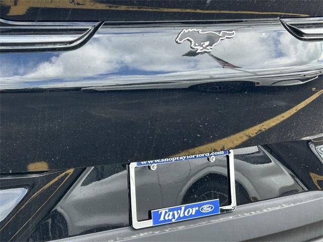 new 2025 Ford Mustang Mach-E car