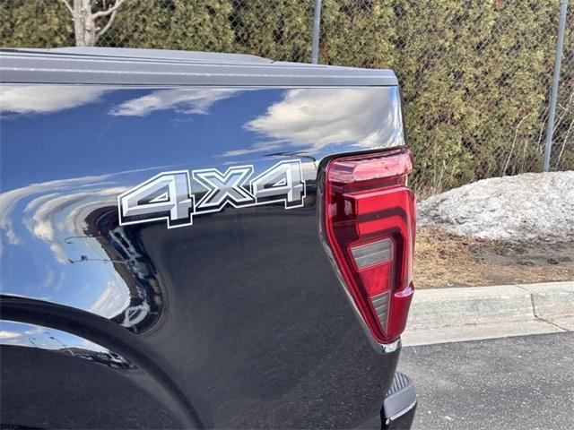 new 2025 Ford F-150 car