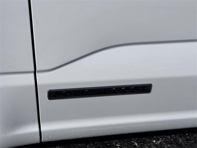 new 2025 Ford F-150 car