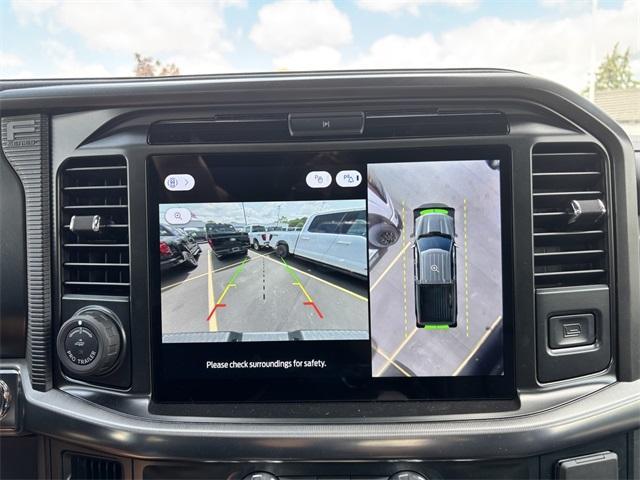 new 2025 Ford F-150 car