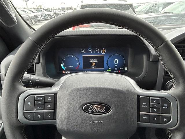 new 2025 Ford F-150 car
