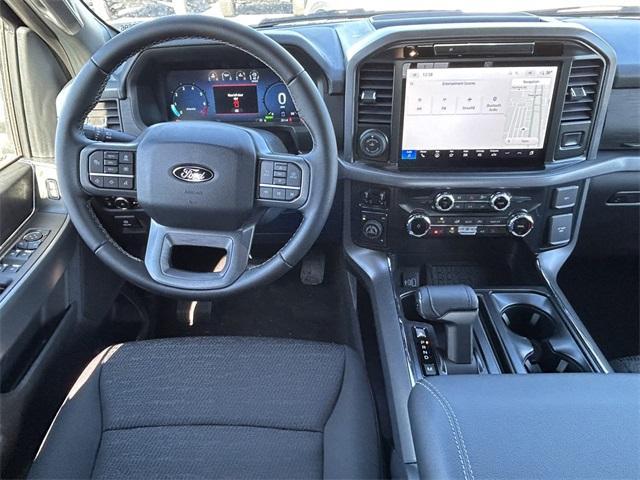 new 2025 Ford F-150 car