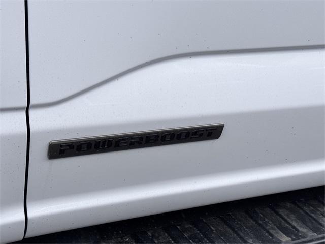 new 2025 Ford F-150 car