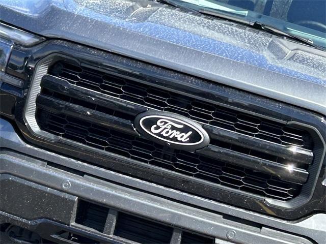 new 2025 Ford F-150 car