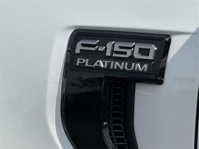 new 2025 Ford F-150 car