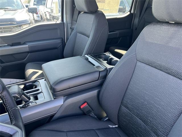 new 2025 Ford F-150 car