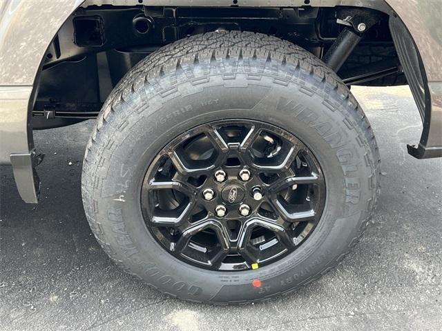 new 2025 Ford F-150 car