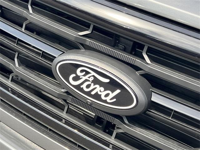 new 2025 Ford F-150 car