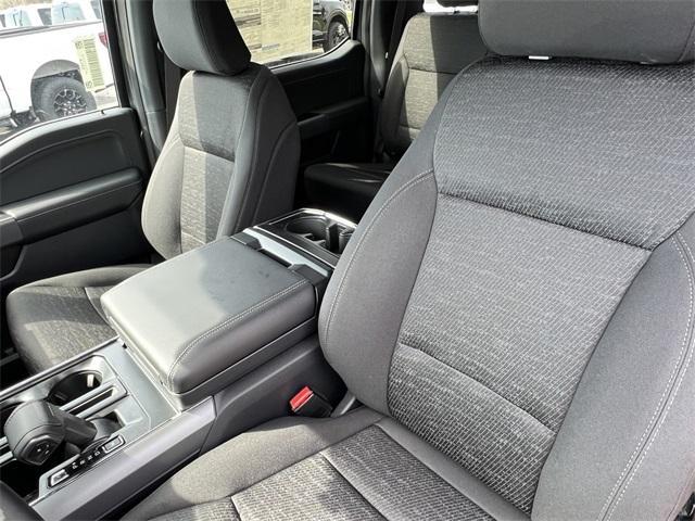 new 2025 Ford F-150 car