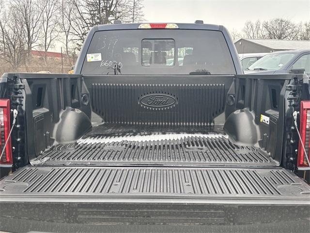 new 2025 Ford F-150 car