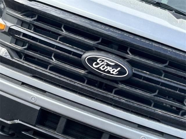new 2025 Ford F-150 car