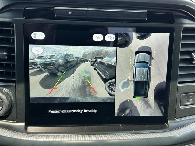new 2025 Ford F-150 car