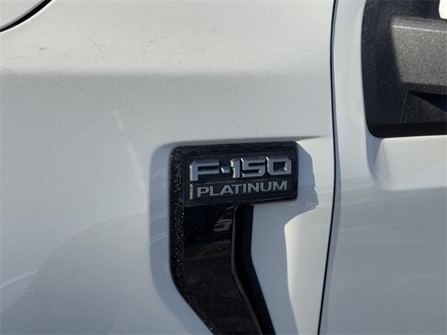 new 2025 Ford F-150 car