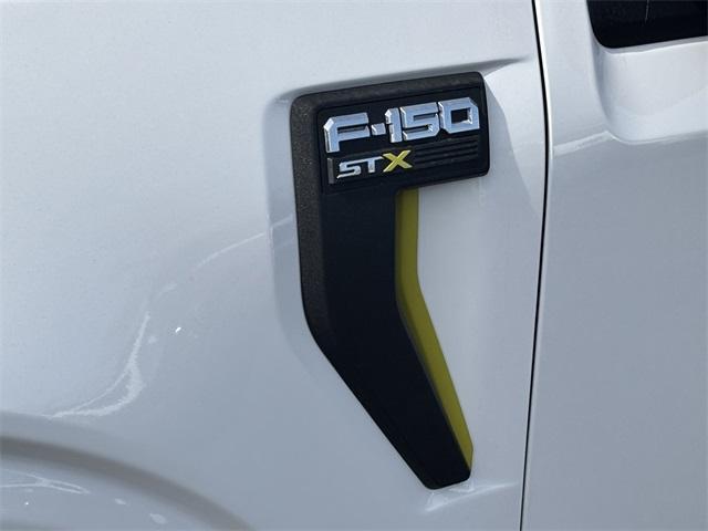 new 2025 Ford F-150 car
