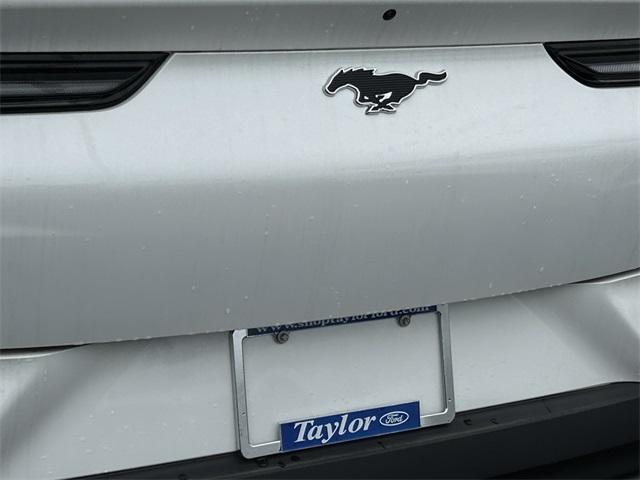 new 2025 Ford Mustang Mach-E car
