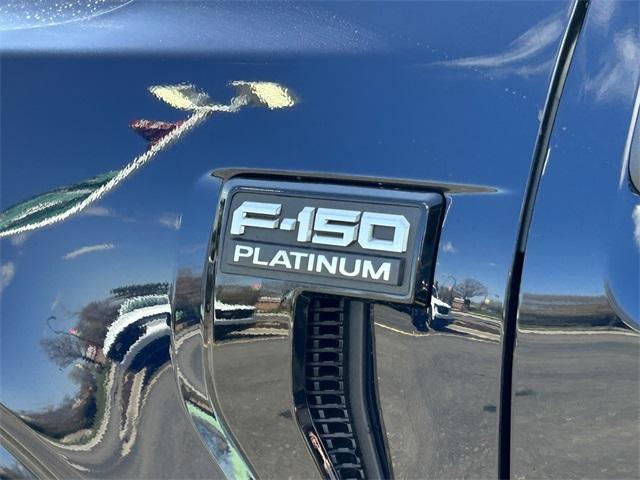 new 2025 Ford F-150 car