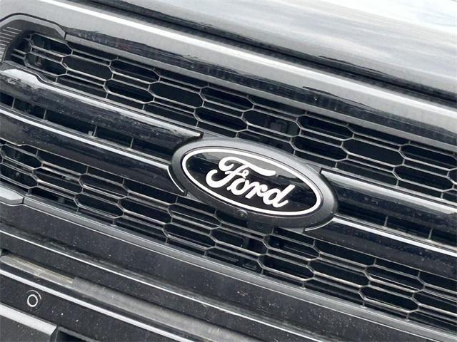 new 2025 Ford F-150 car