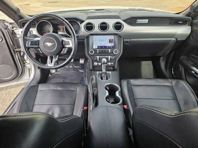 used 2023 Ford Mustang car, priced at $24,900