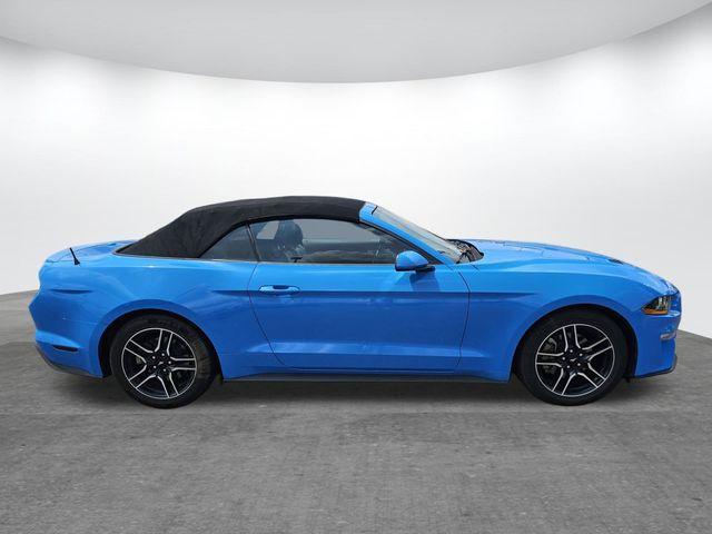 used 2023 Ford Mustang car, priced at $24,000
