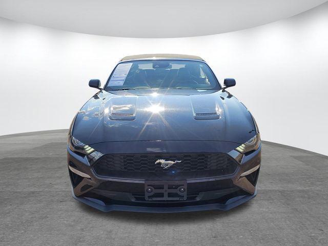 used 2023 Ford Mustang car, priced at $24,800