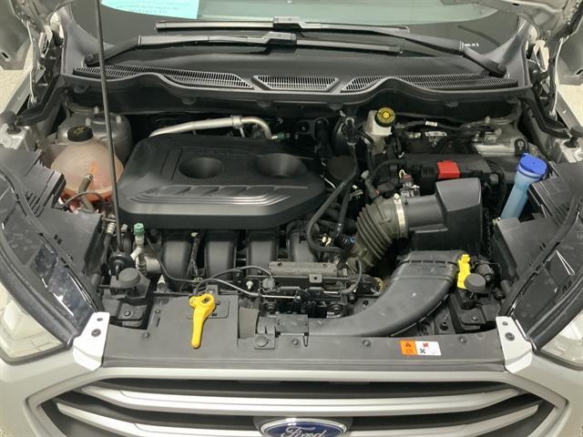 used 2021 Ford EcoSport car, priced at $18,990