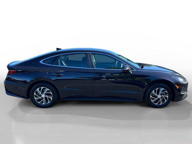 used 2023 Hyundai Sonata Hybrid car, priced at $24,388