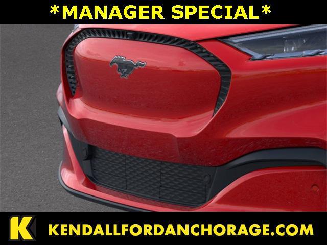new 2024 Ford Mustang Mach-E car
