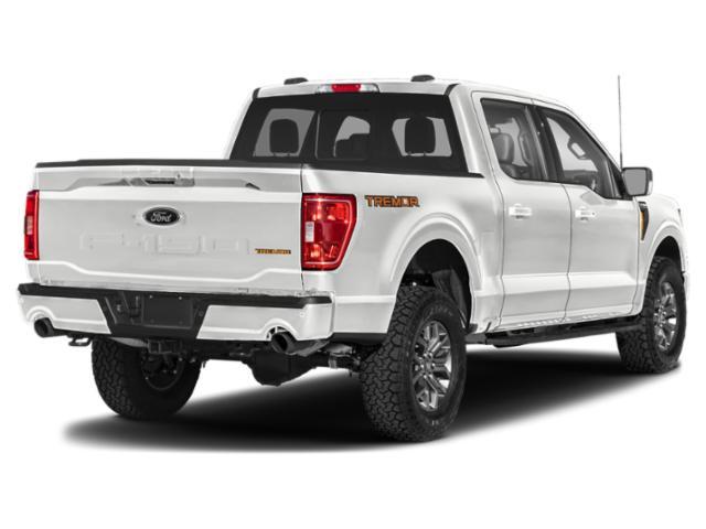 used 2023 Ford F-150 car