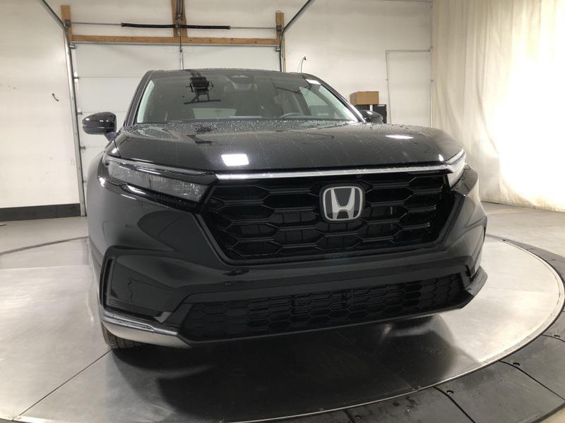 new 2026 Honda CR-V car, priced at $36,100