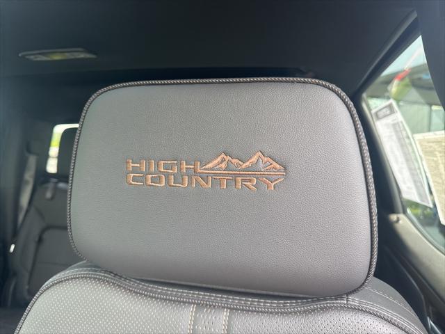 used 2024 Chevrolet Silverado 1500 car, priced at $62,488