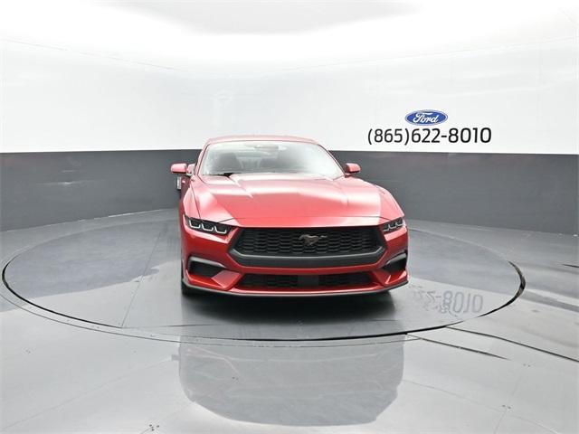 new 2024 Ford Mustang car, priced at $42,530