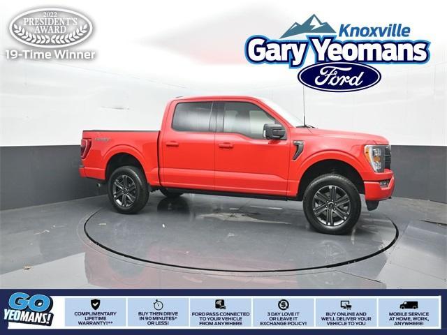 used 2021 Ford F-150 car, priced at $42,215