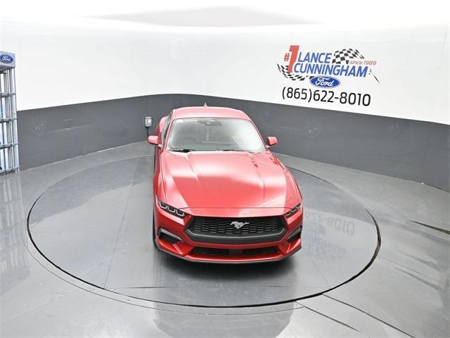 new 2024 Ford Mustang car, priced at $44,880