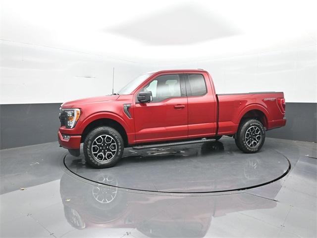 used 2021 Ford F-150 car, priced at $36,995