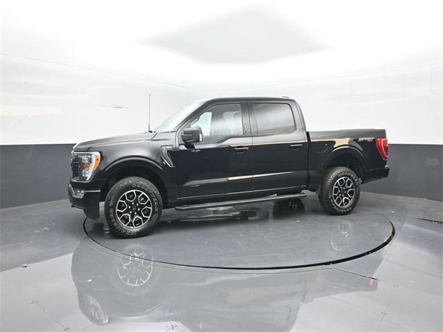 used 2021 Ford F-150 car, priced at $36,749