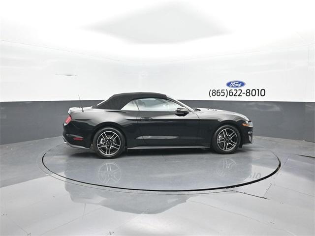 used 2023 Ford Mustang car, priced at $26,588