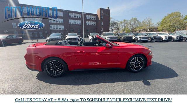 used 2023 Ford Mustang car