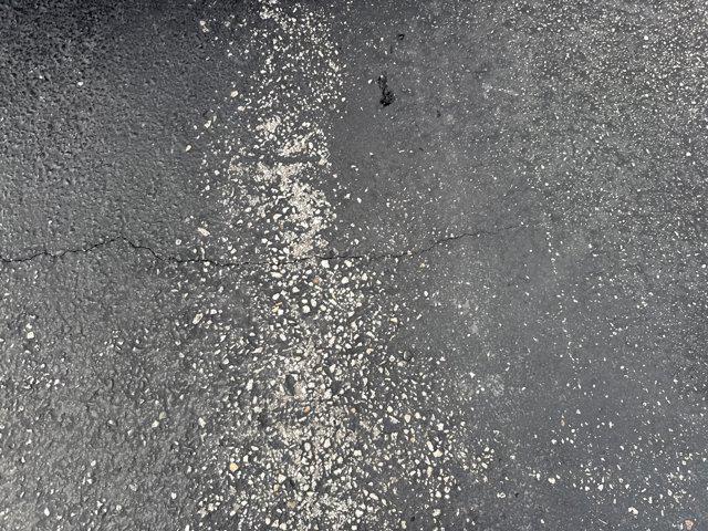 used 2019 GMC Sierra 1500 car, priced at $38,500