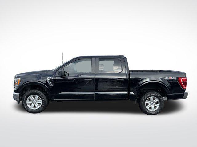 used 2021 Ford F-150 car, priced at $36,999