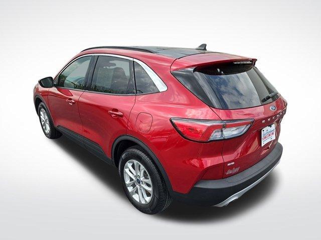 used 2020 Ford Escape car, priced at $19,999