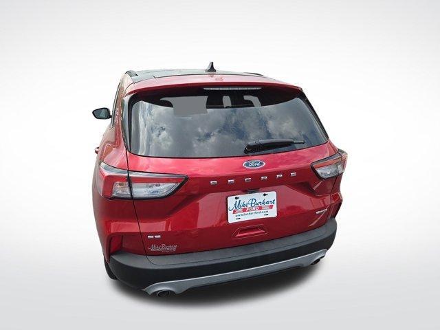 used 2020 Ford Escape car, priced at $19,999