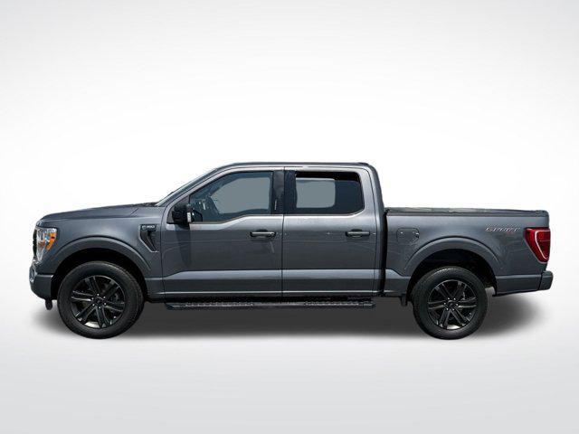 used 2021 Ford F-150 car, priced at $31,995