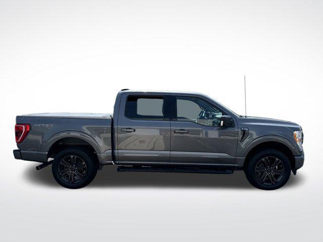 used 2021 Ford F-150 car, priced at $31,995